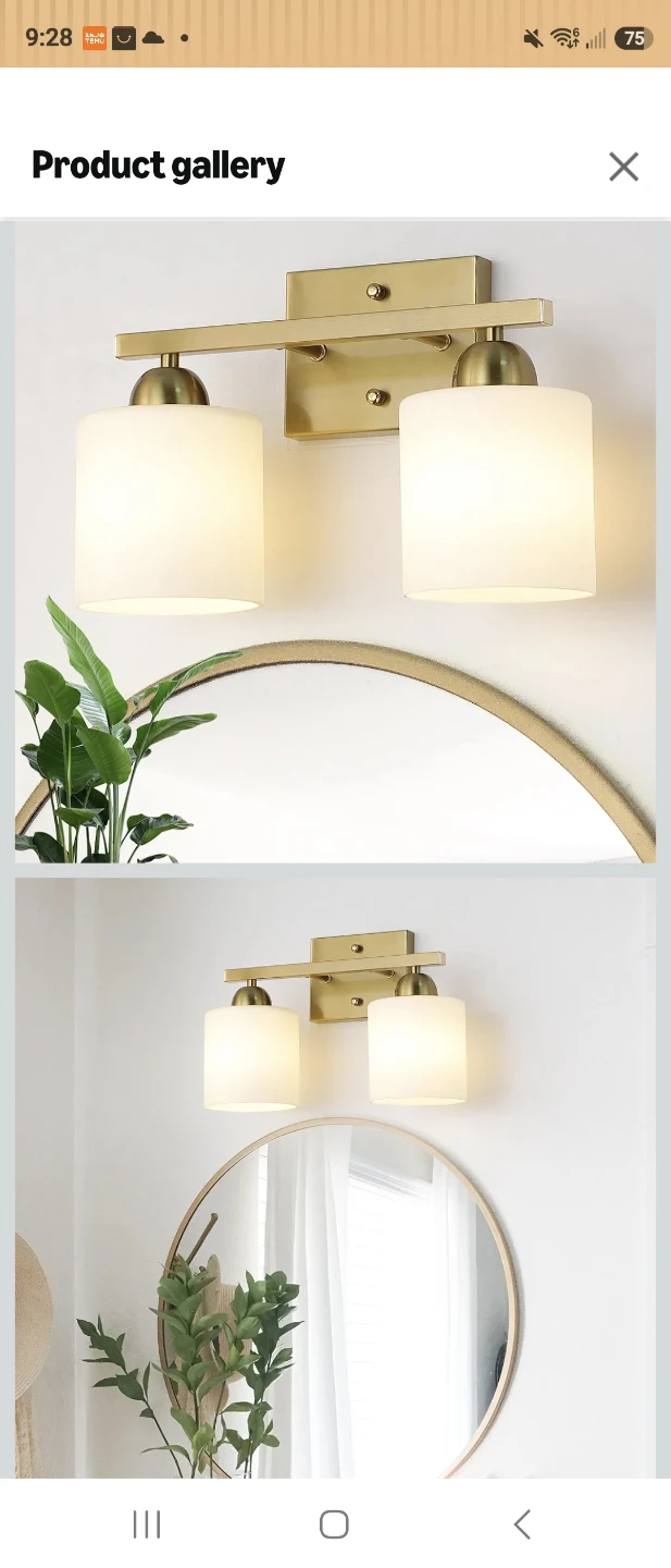 2-Light Vanity Light Fixture - photo 3
