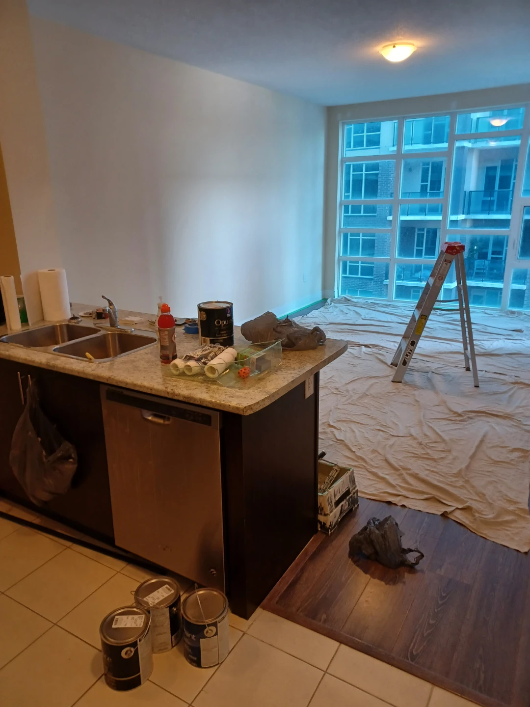 Mikes affordable painting service