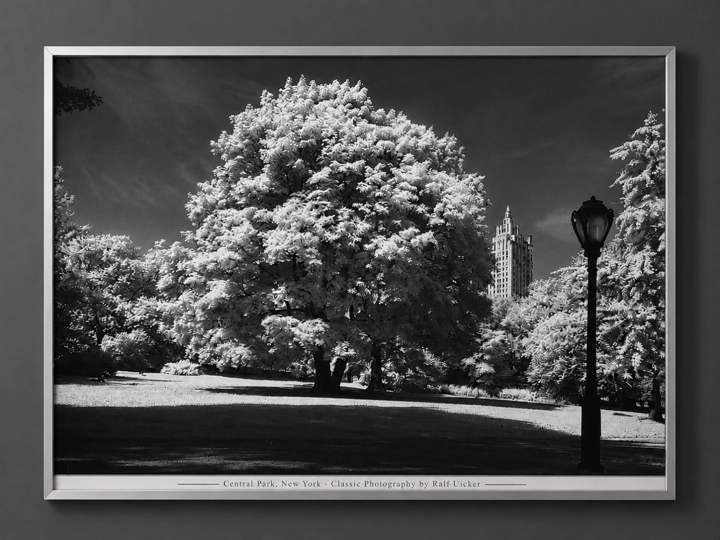 Central Park, New York - Classic Photography by Ralf Uicker - photo 2
