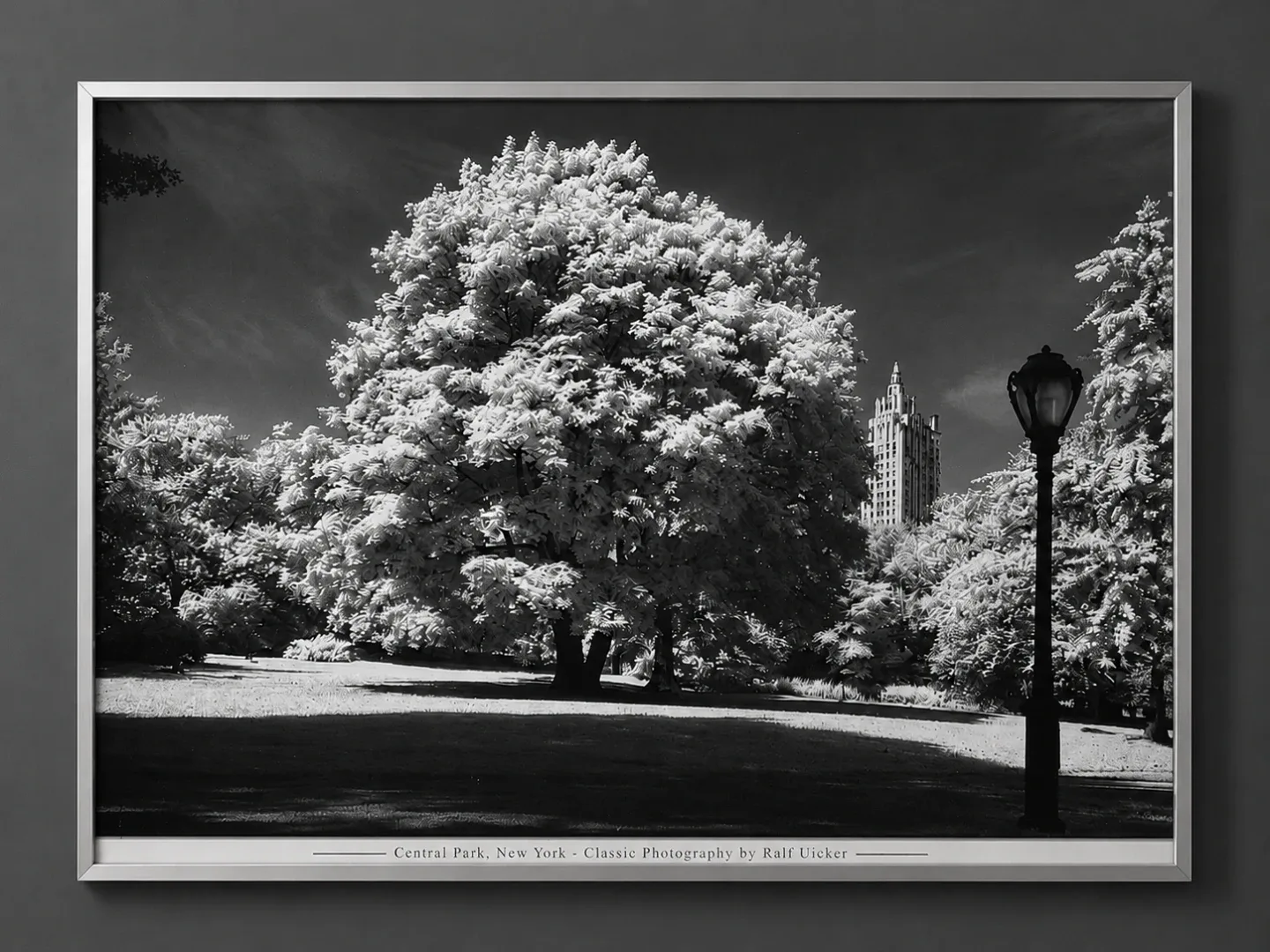 Central Park, New York - Classic Photography by Ralf Uicker - photo 2
