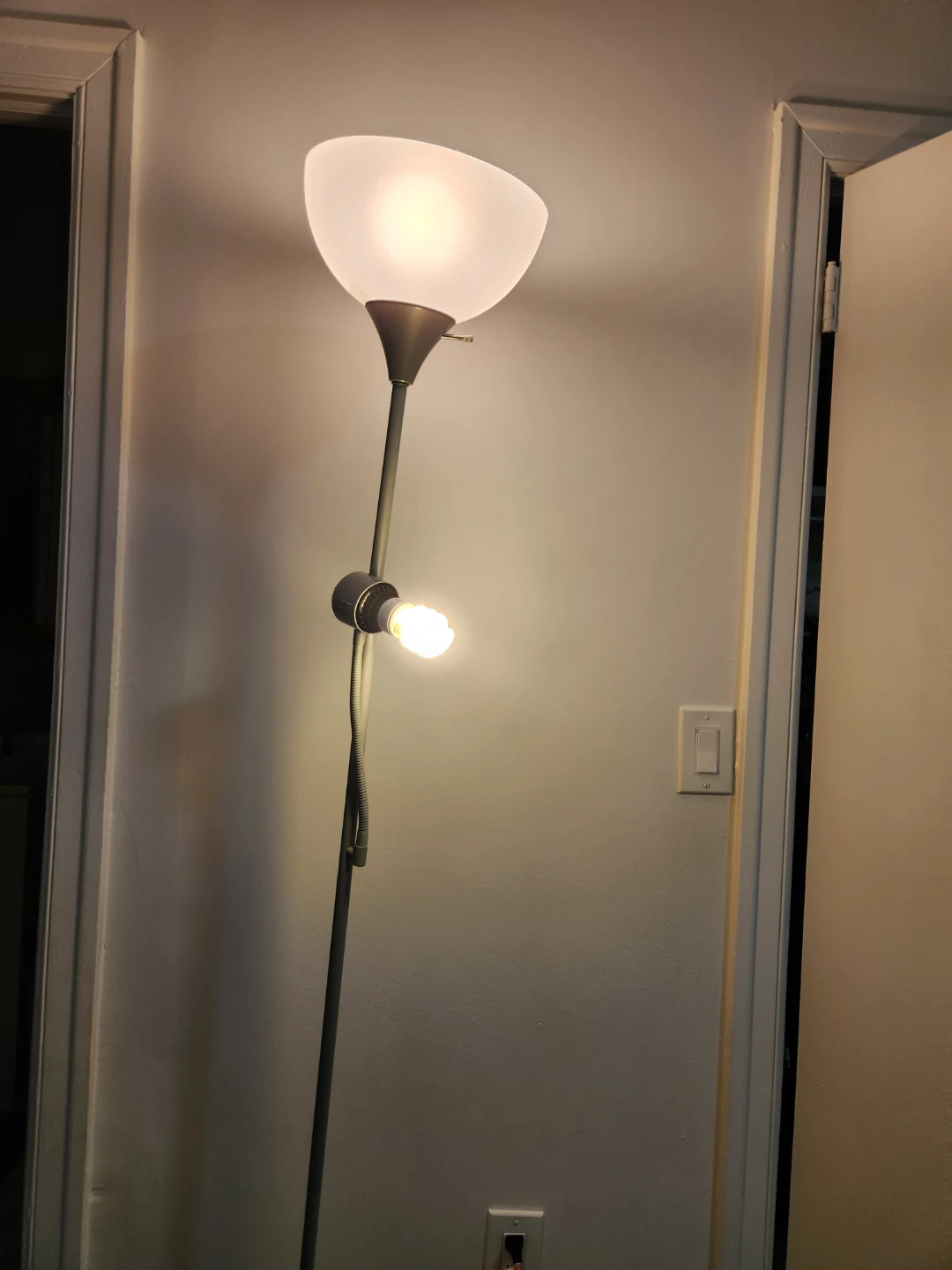 Adjustable Floor Lamp with Frosted Shade