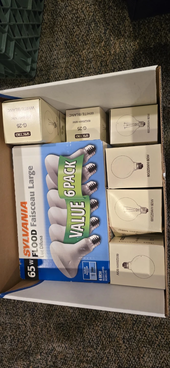 Sylvania Flood Light Bulbs (65W) and Spectro G-25 Light Bulbs