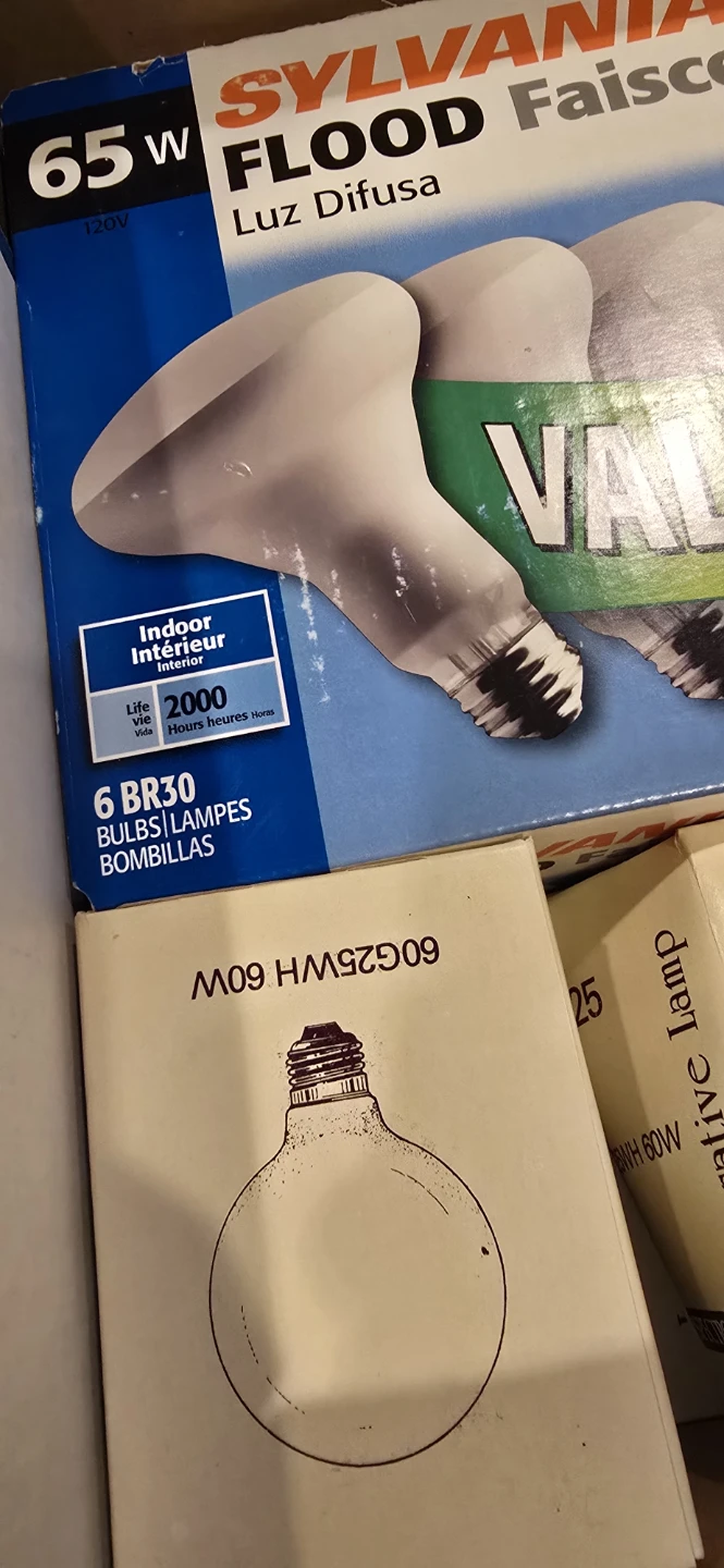 Sylvania Flood Light Bulbs (65W) and Spectro G-25 Light Bulbs - photo 2