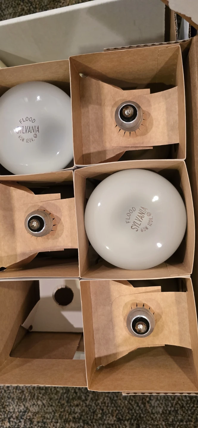 Sylvania Flood Light Bulbs (65W) and Spectro G-25 Light Bulbs - photo 4