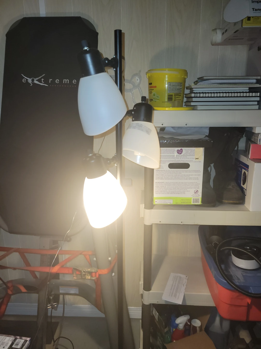 Triple Head Floor Lamp