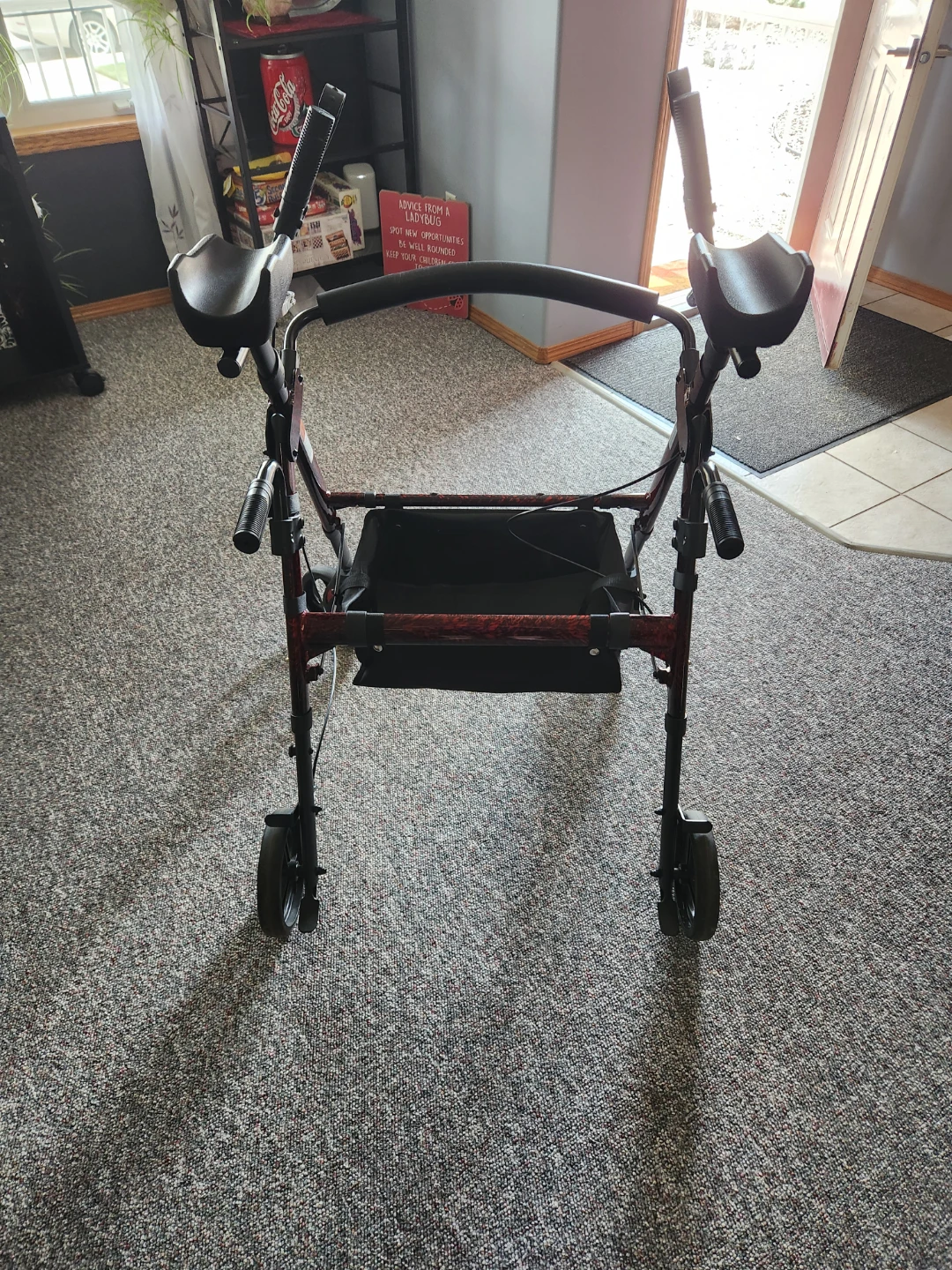 Red Rolling Walker - photo 2