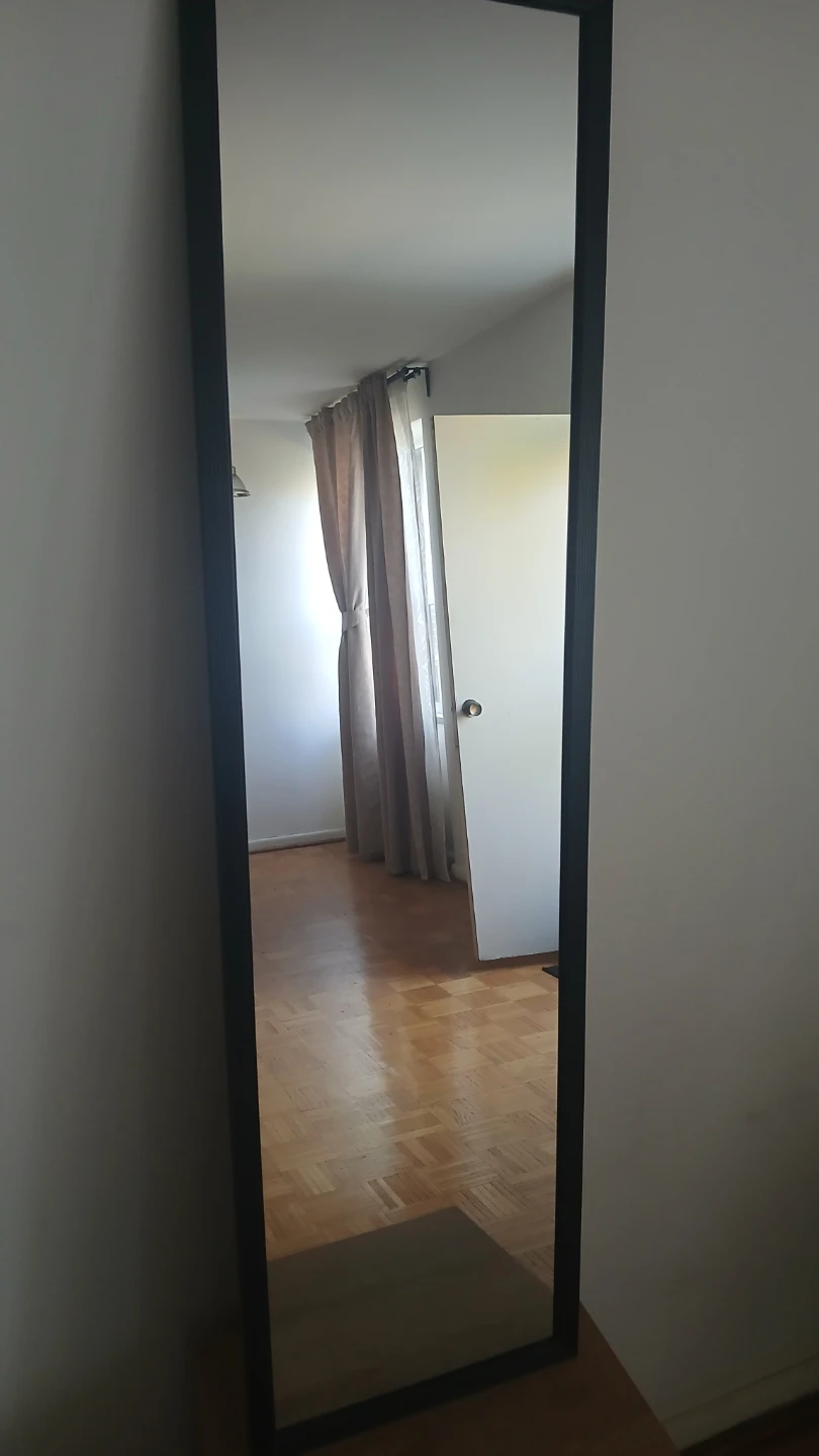 Full Length Mirror