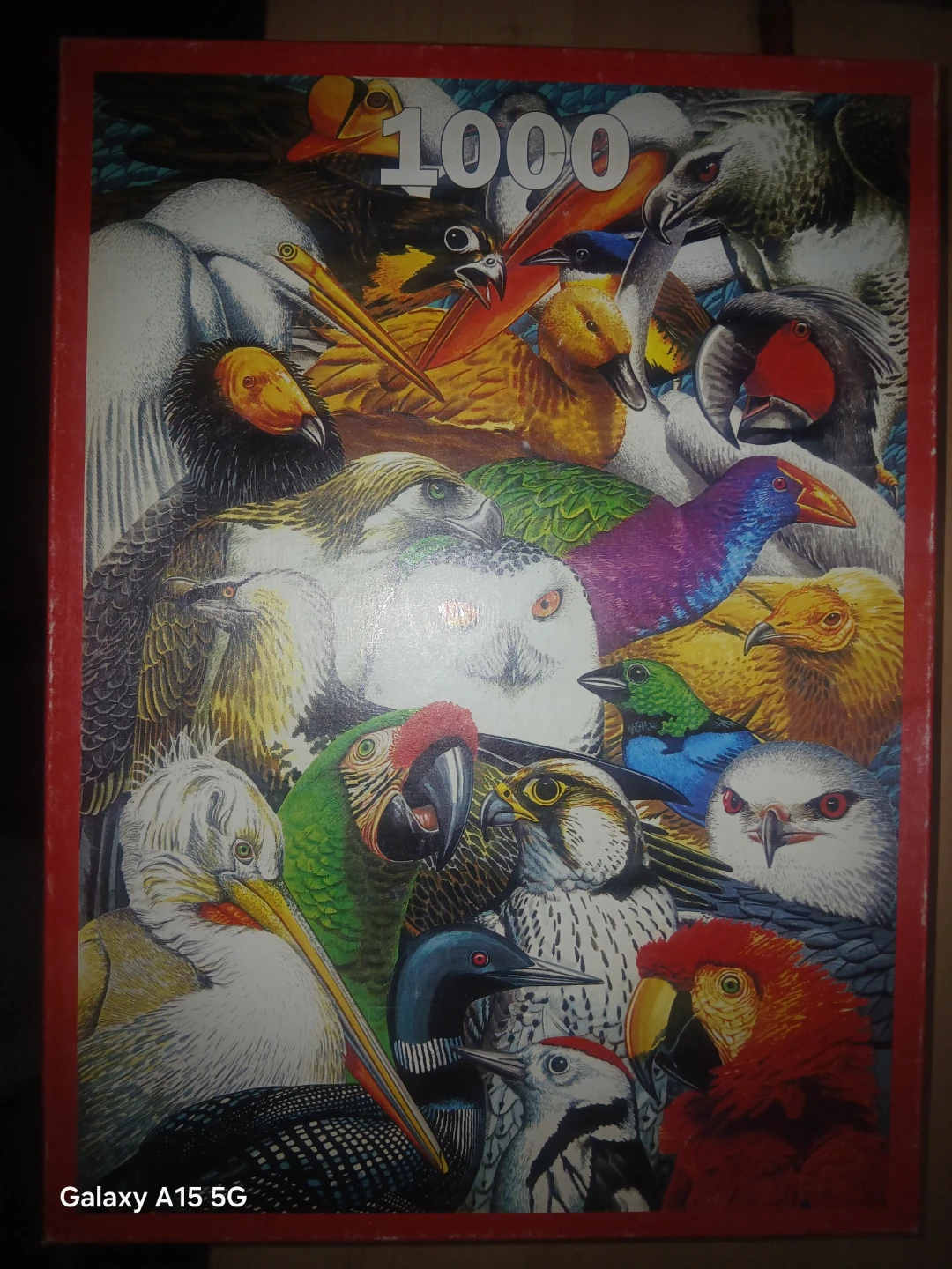 1000 Piece Deluxe Puzzle - Birds