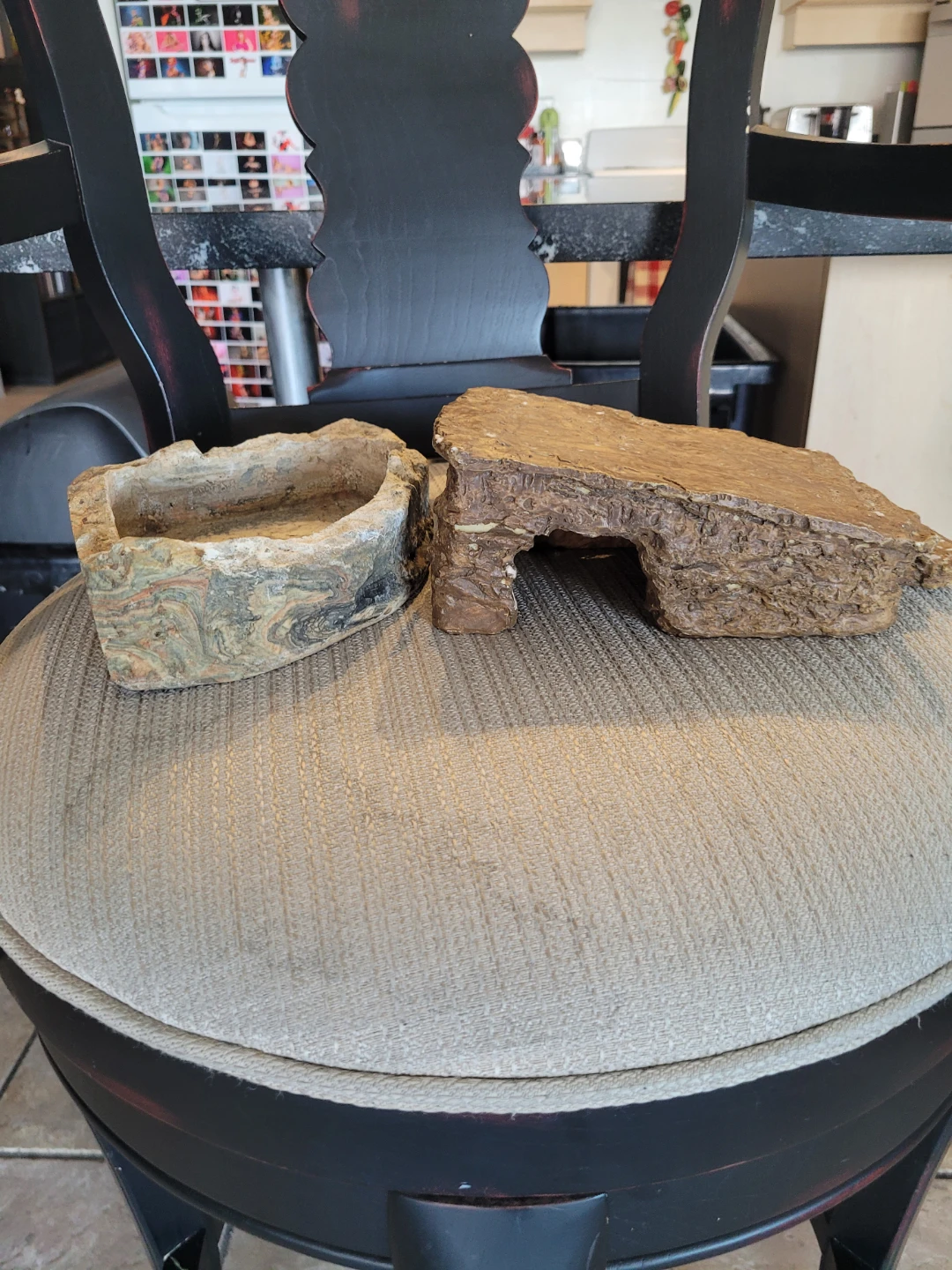 Hide and Water Dish