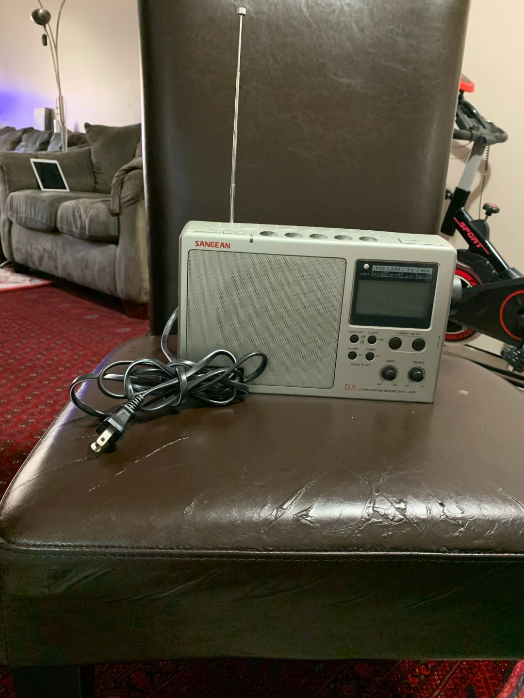 Sangean DX-100 Digital AM/FM Radio