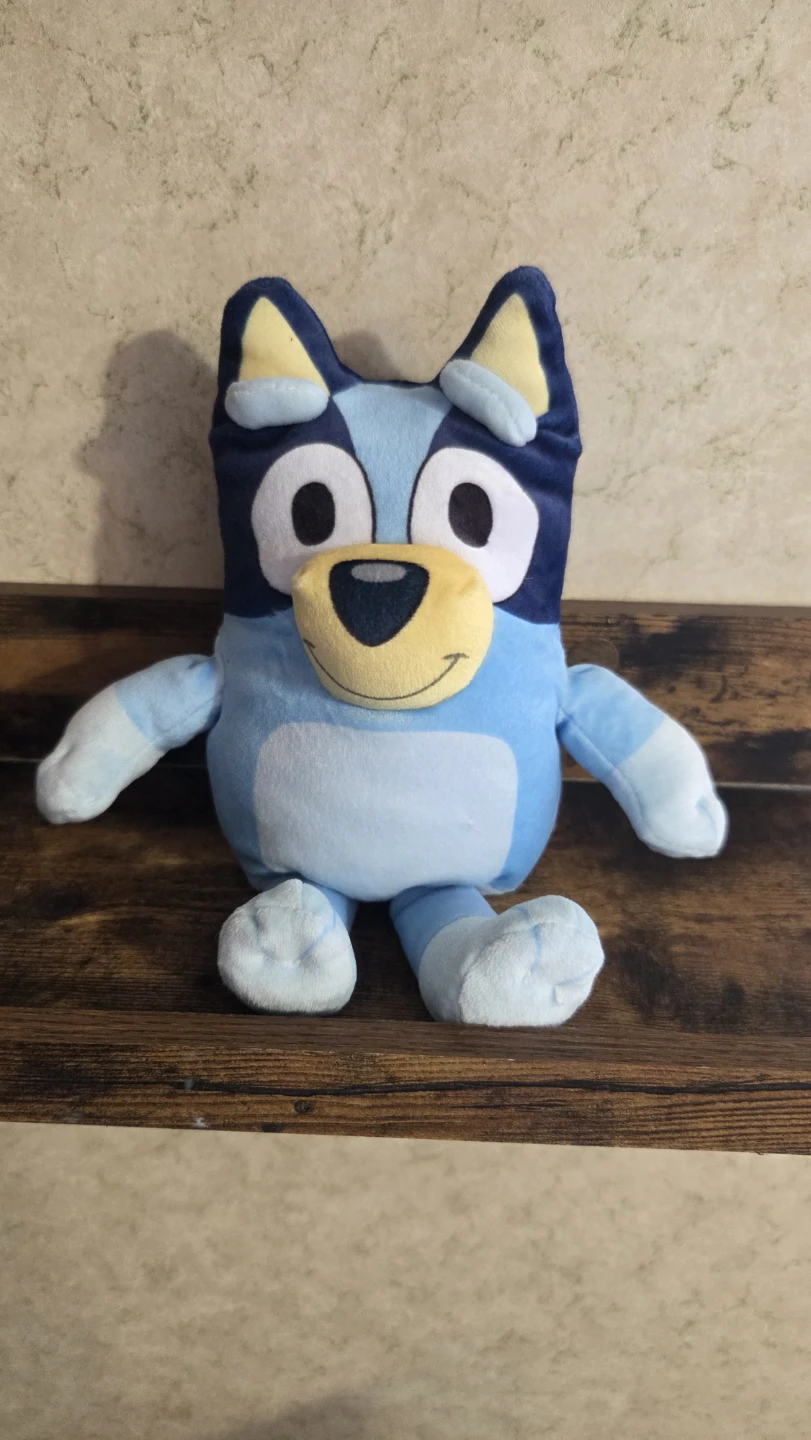 Bluey Plush Toy