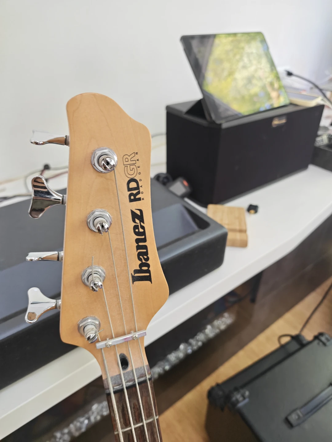 Ibanez RDGR Bass Guitar and Soundwave Amp - photo 3
