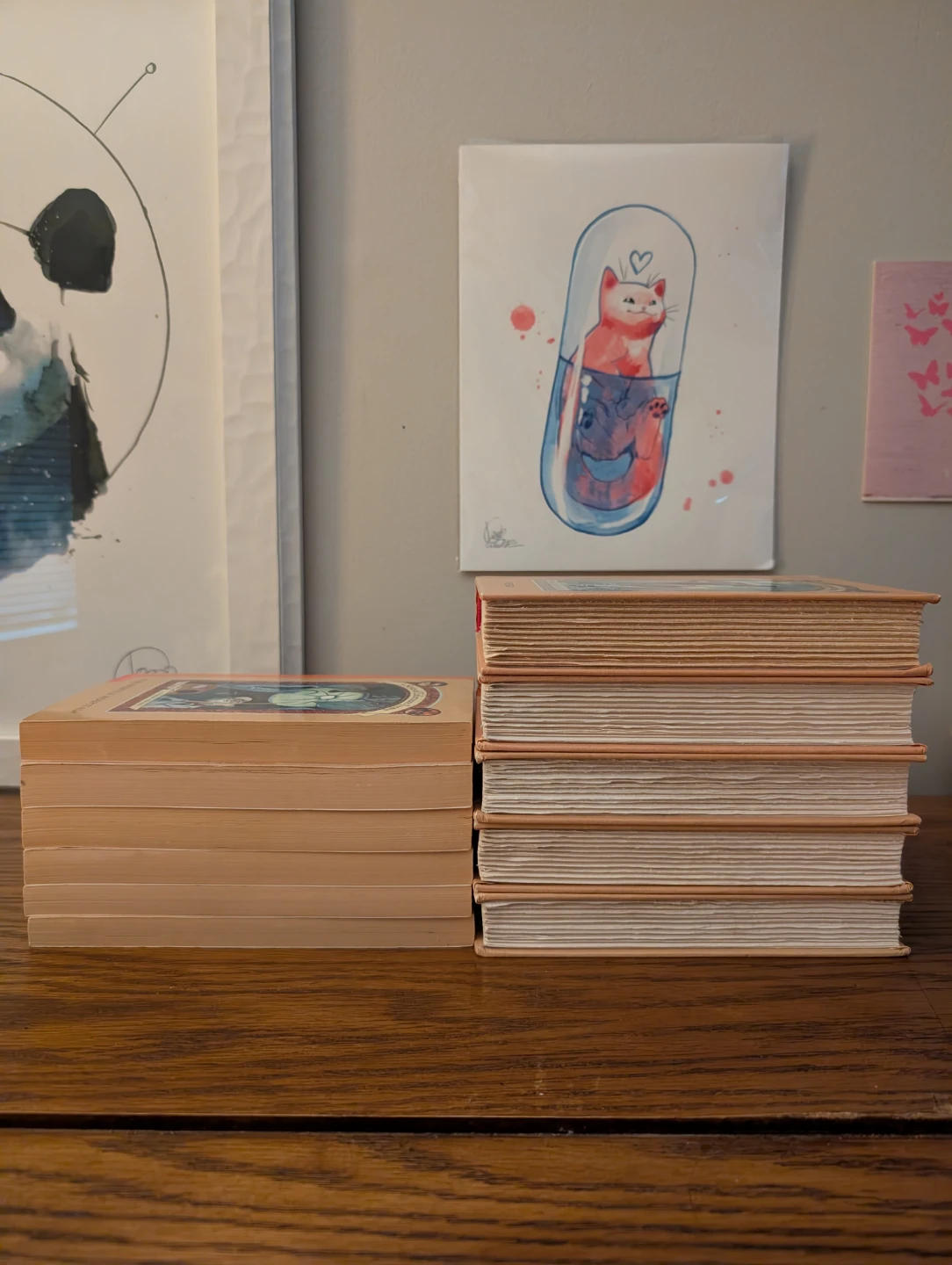 A Series of Unfortunate Events *almost* complete set - photo 2