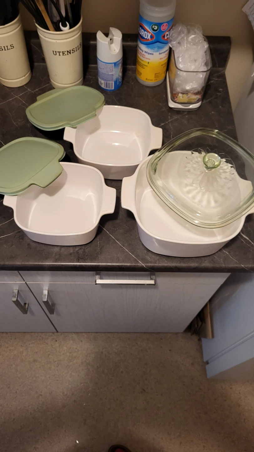 Martha Stewart Everyday Baking Dishes with Lids