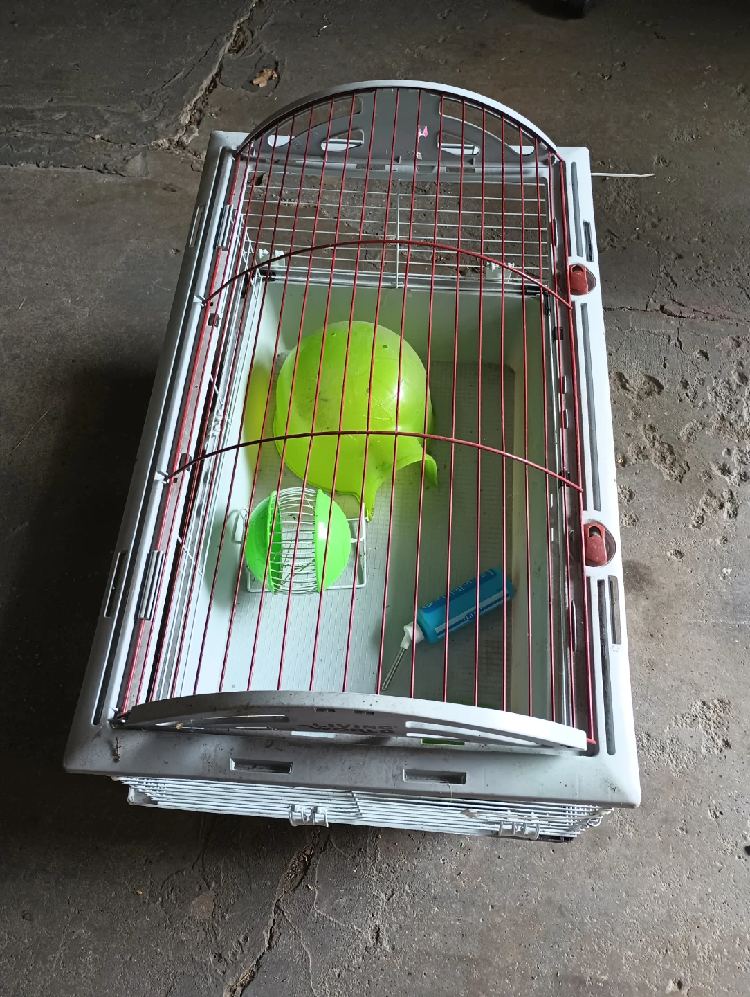 Habitat for guinea pig - photo 2