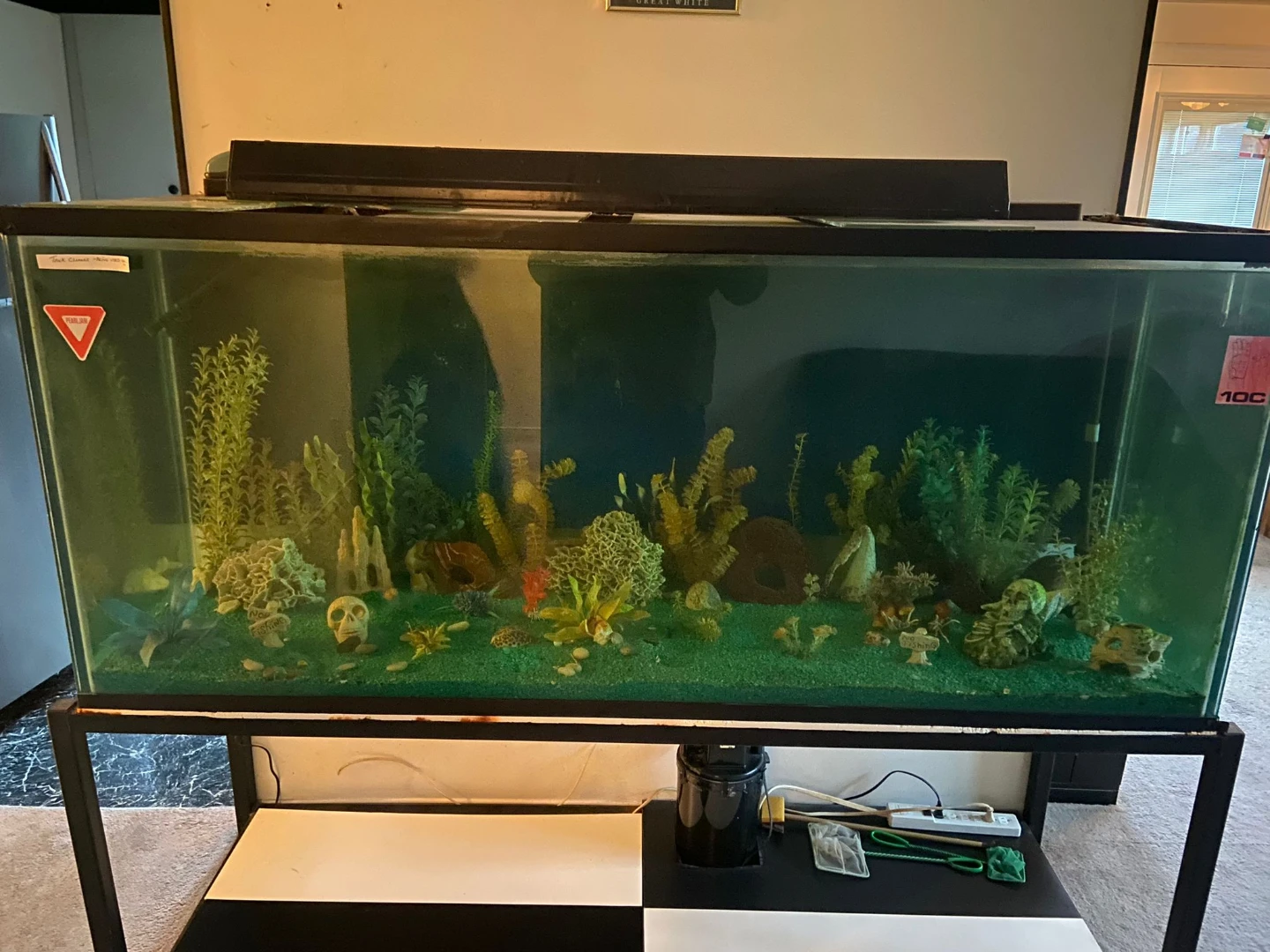 Large Aquarium with Stand and Accessories