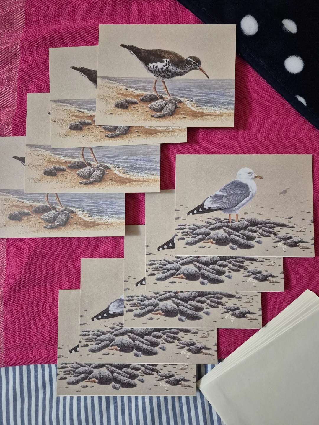 9 Bird Cards by the Canadian Wildlife Federation NEW - photo 5