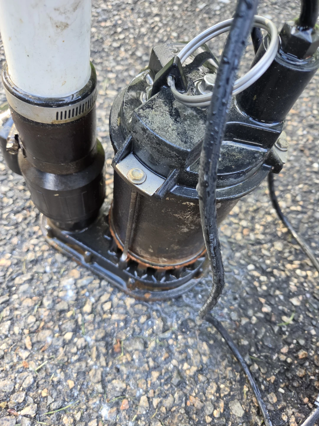 PitBoss 3/4 HP Stainless Steel Submersible Sump Pump - photo 4
