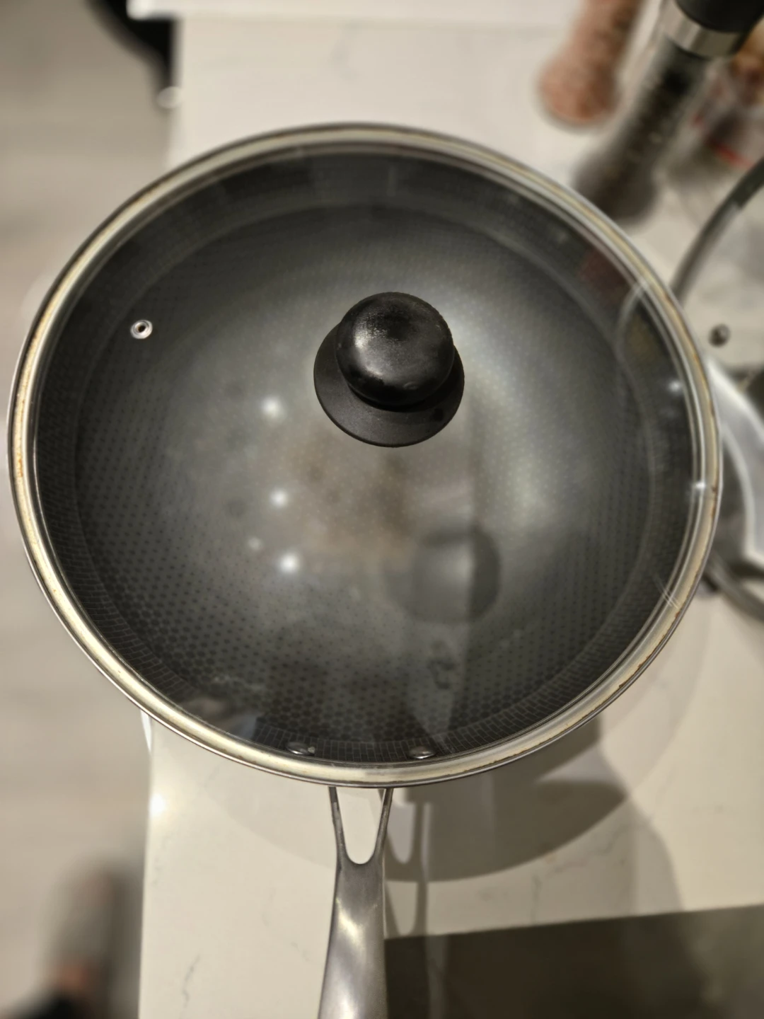 Stainless Steel Wok with Lid