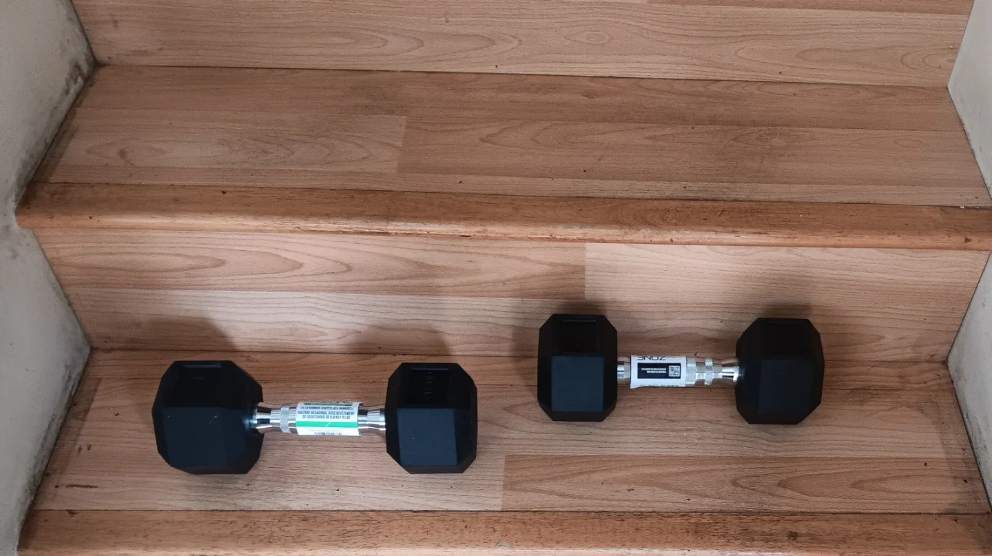 This is another Hex Dumbbells 20 lb pair