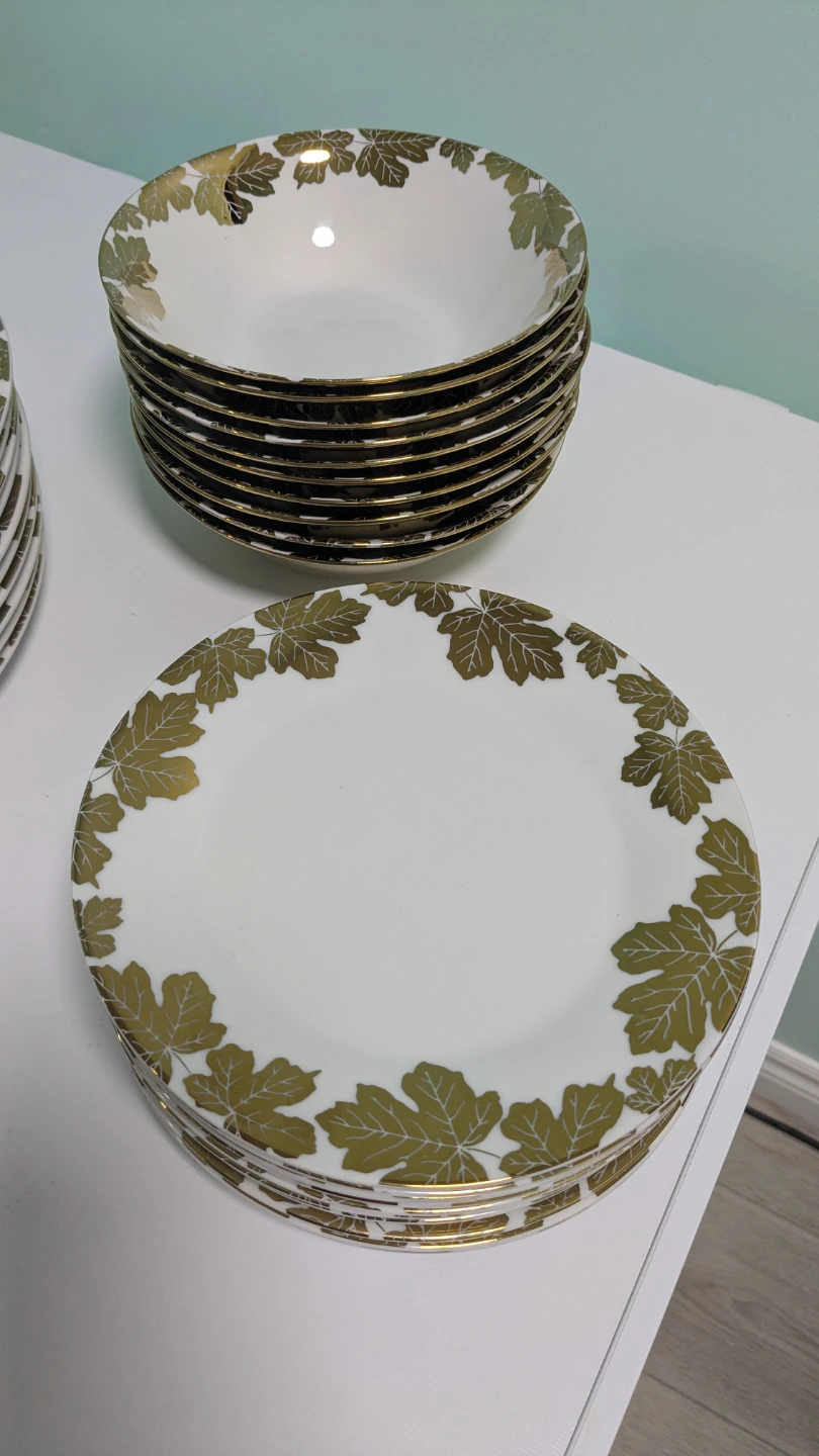White Dinner Plates with Gold Leaf Design (Set of 30) - photo 3