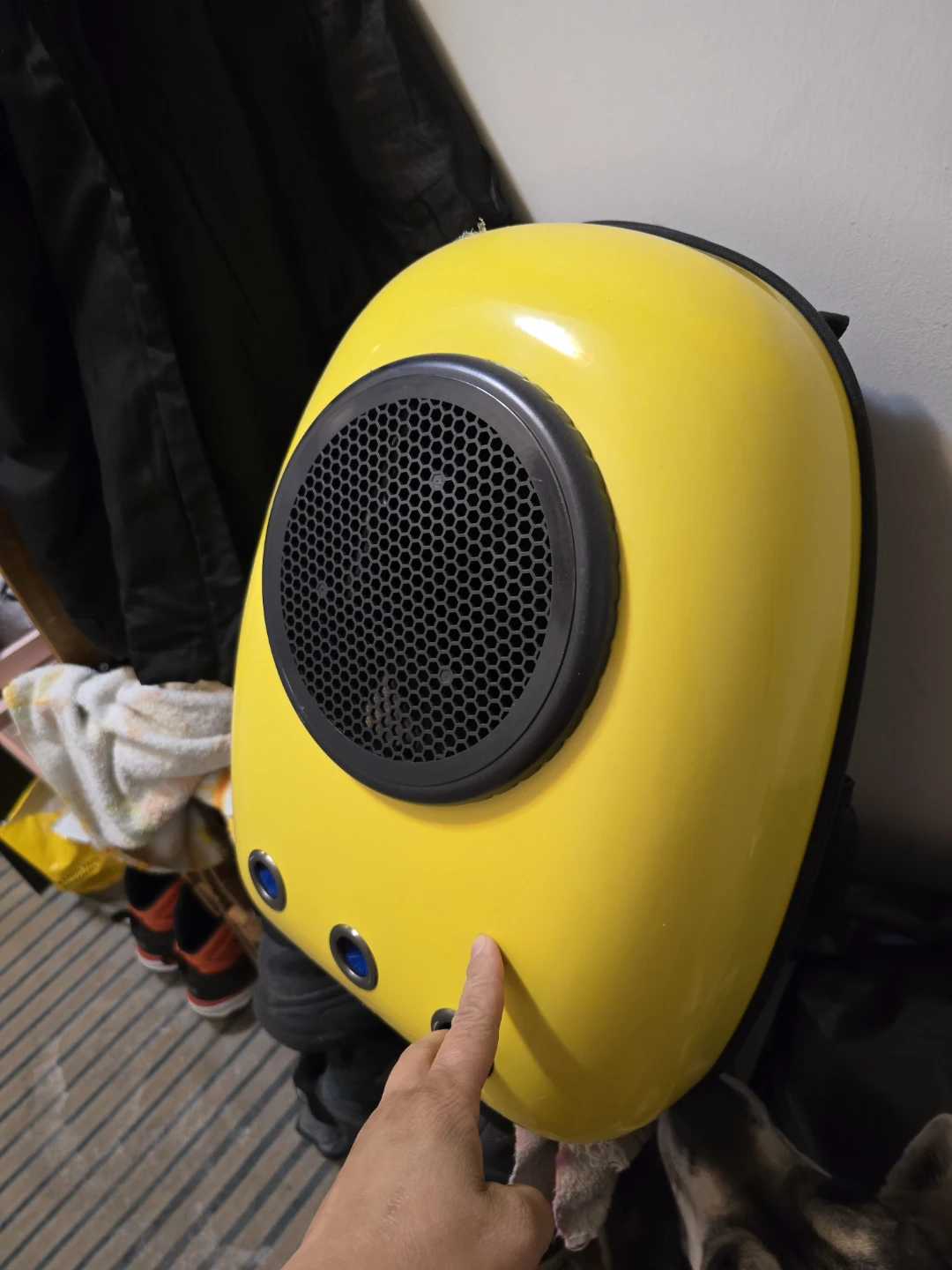 Backpack Pet Carrier