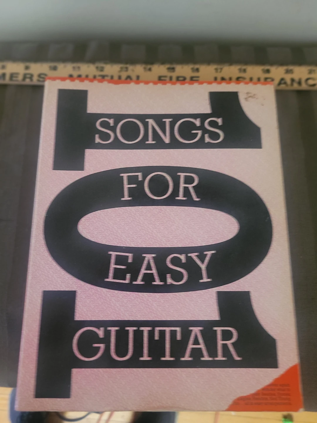 101 Songs Easy Guitar Book Camping Fire Fun