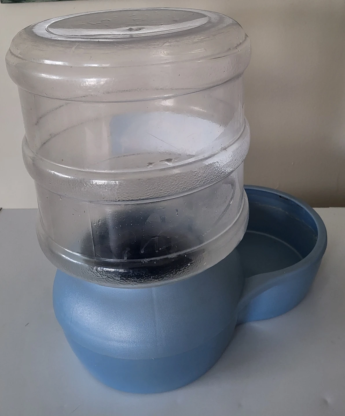 Aspen Pet Lebistro Pet Feeder Waterer - photo 2