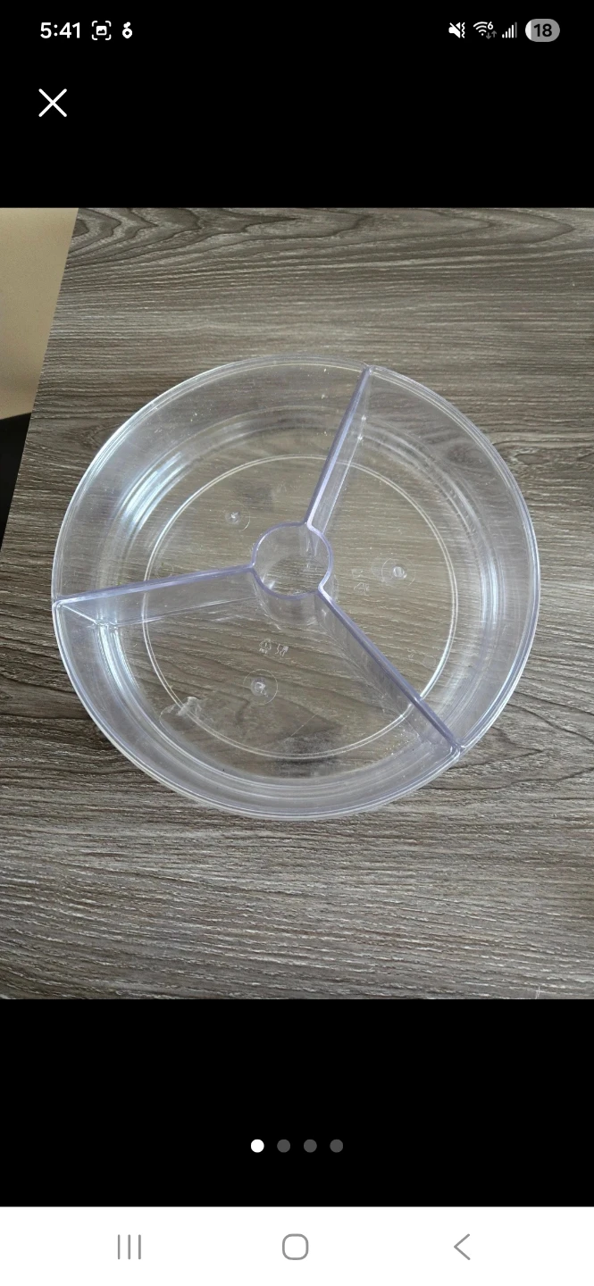 Clear Plastic 3-Section Divided Serving Tray