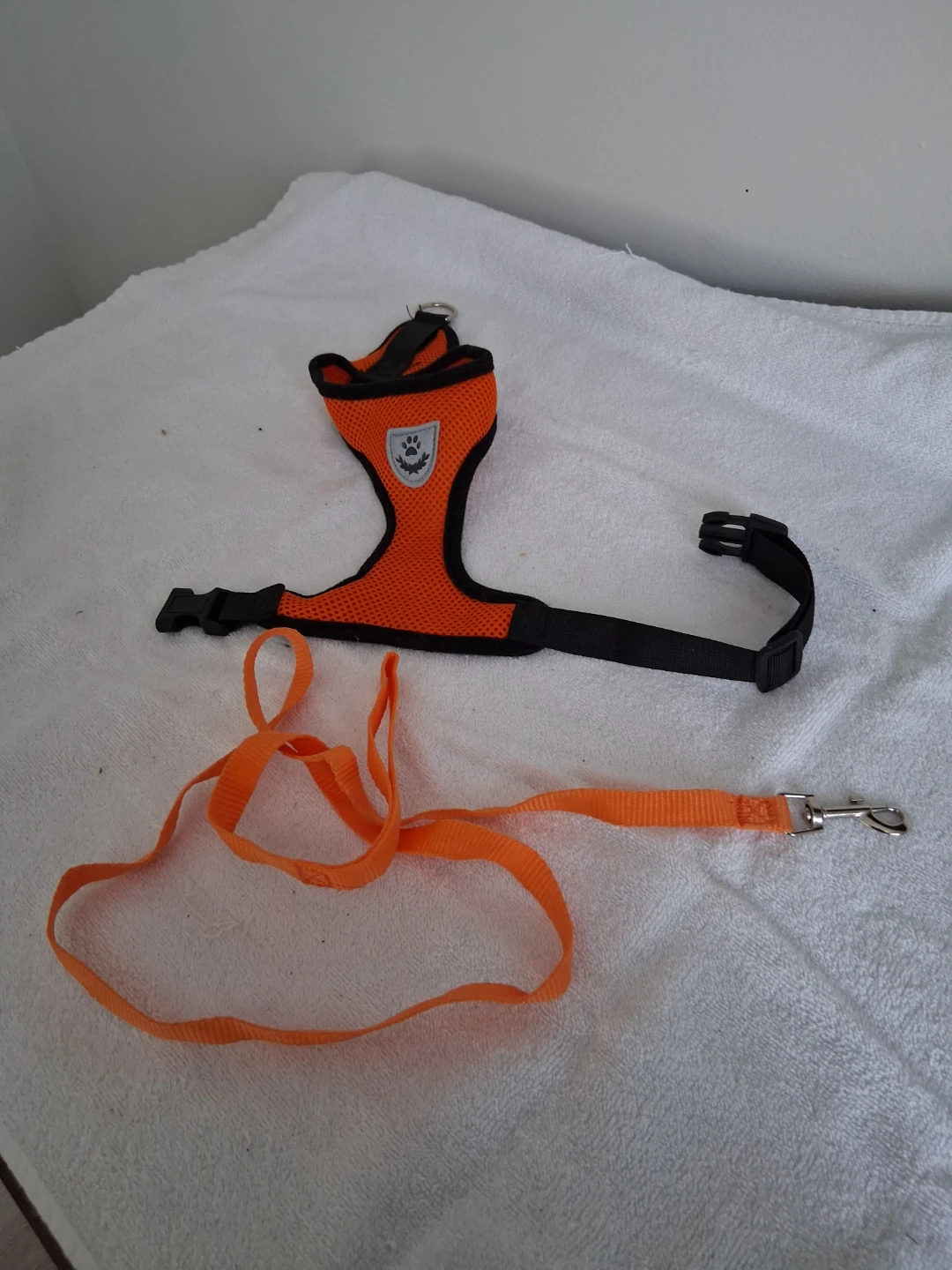 Orange cat  Harness and Leash Set