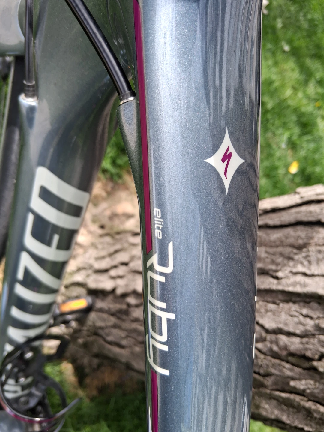 Specialized Ruby Elite Women's Road Bike - photo 3