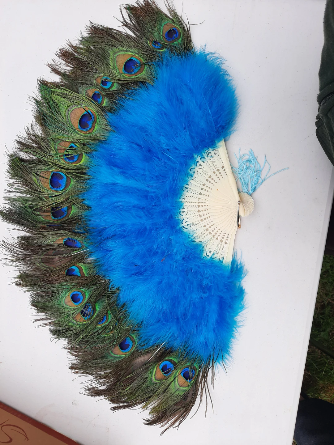 Peacock hand fans