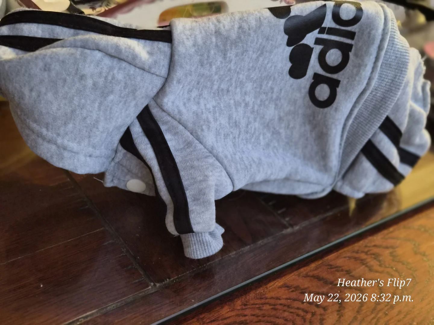 Adidog Grey Hoodie for Small Dogs - photo 4
