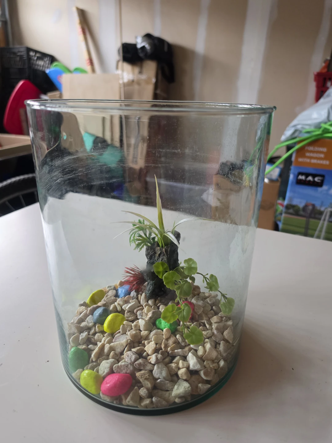 Glass Fish Bowl Terrarium with Decorative Rocks and Plants