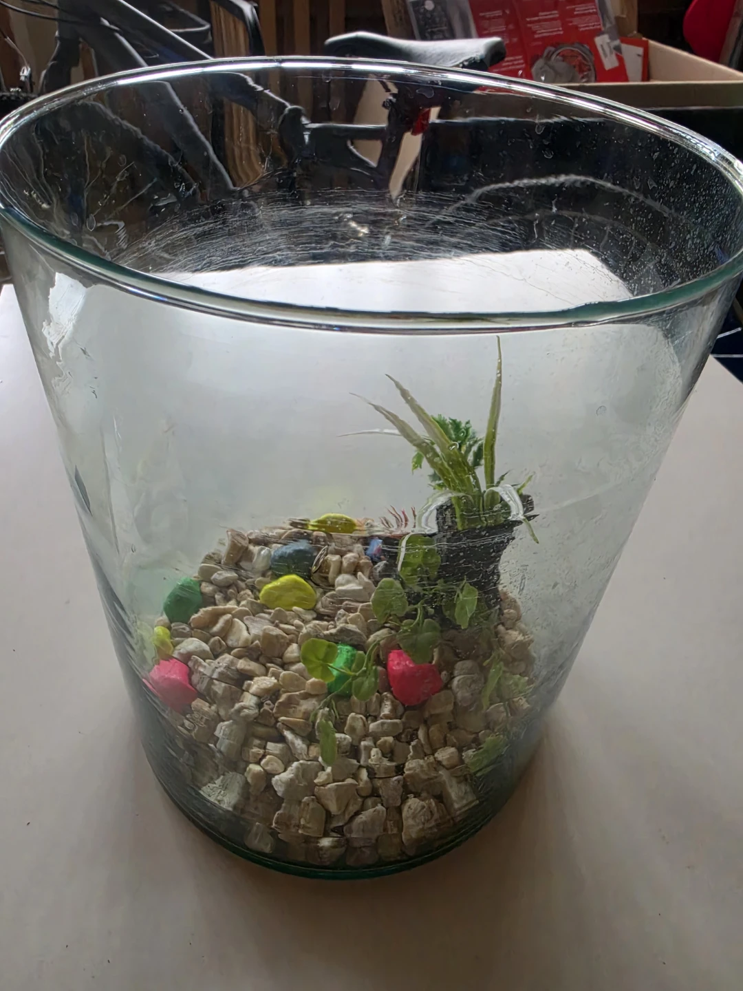Glass Fish Bowl Terrarium with Decorative Rocks and Plants - photo 2