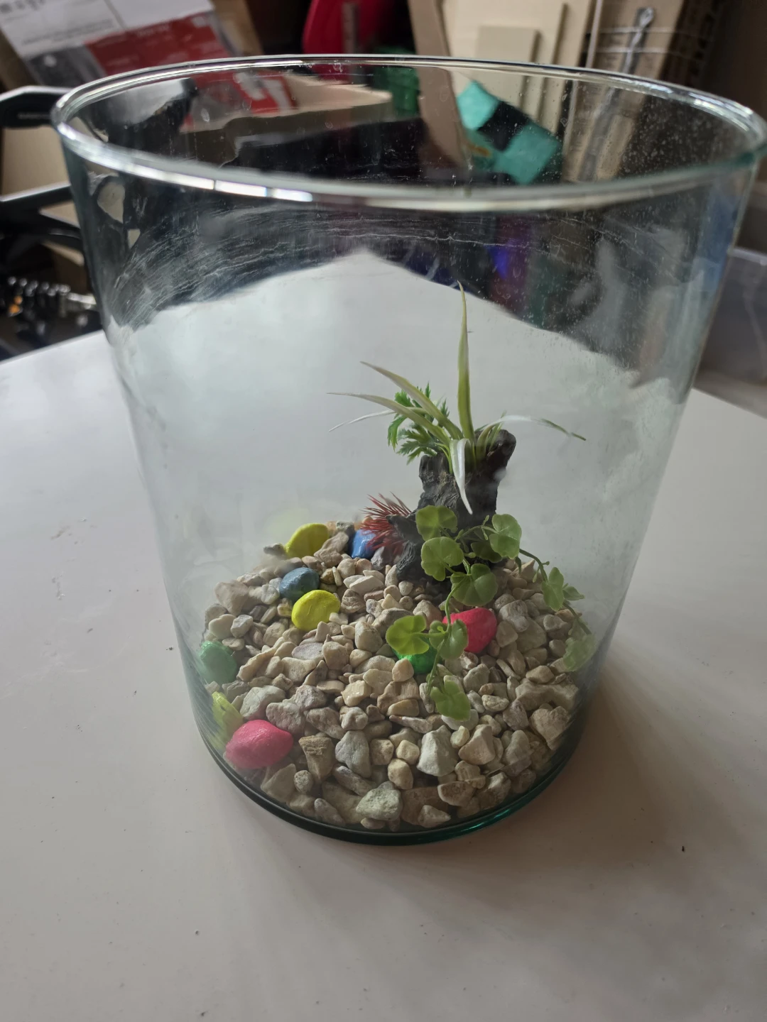 Glass Fish Bowl Terrarium with Decorative Rocks and Plants - photo 3
