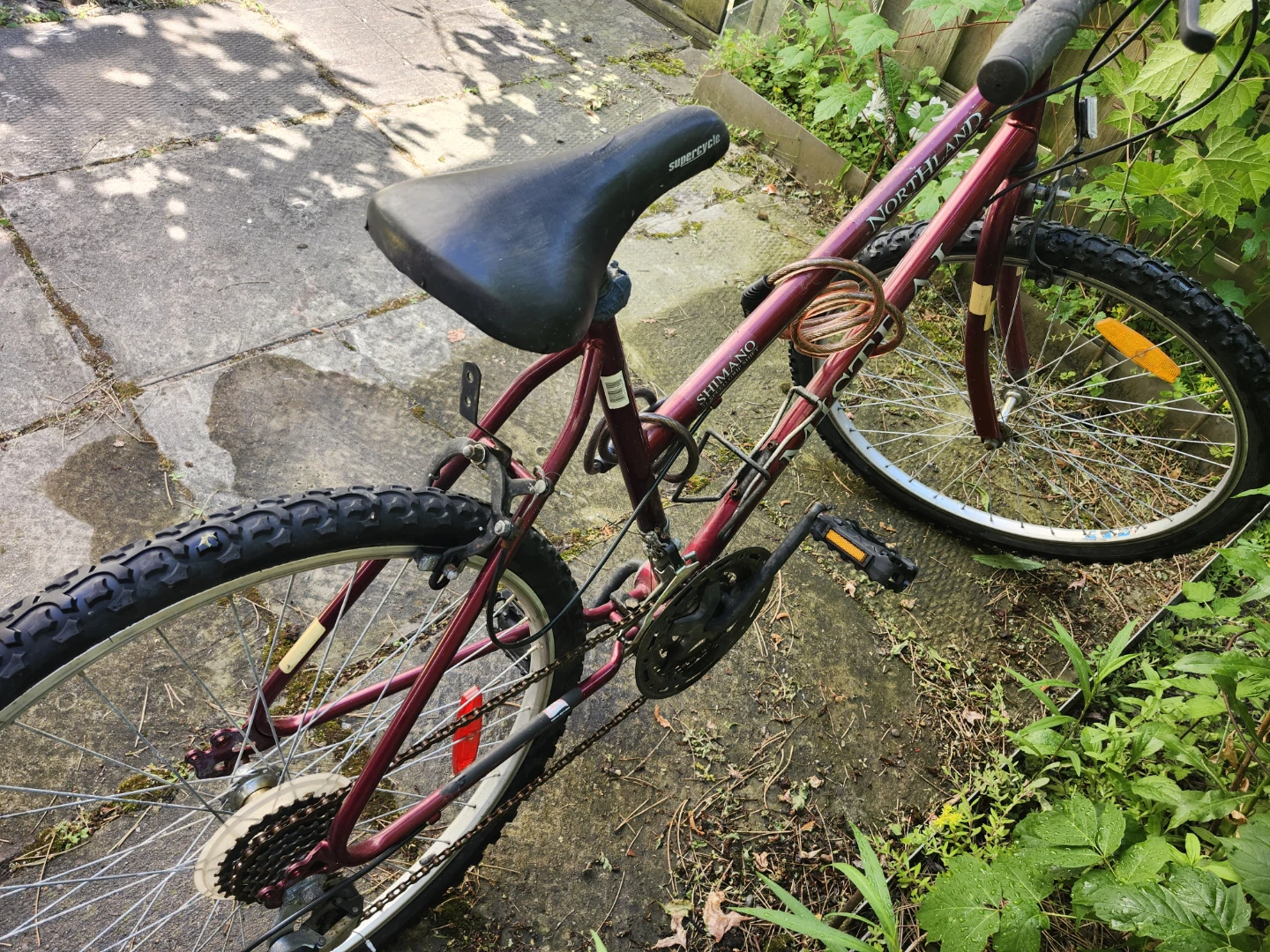 Northland Mountain Bike with Shimano Gears