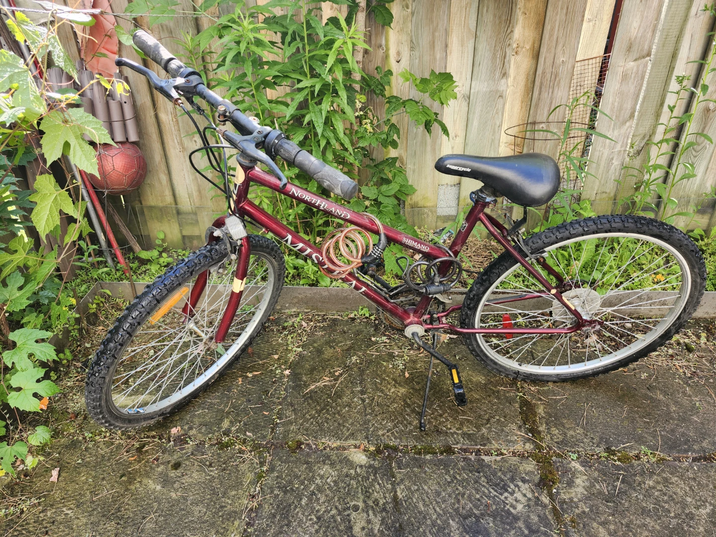 Northland Mountain Bike with Shimano Gears - photo 3
