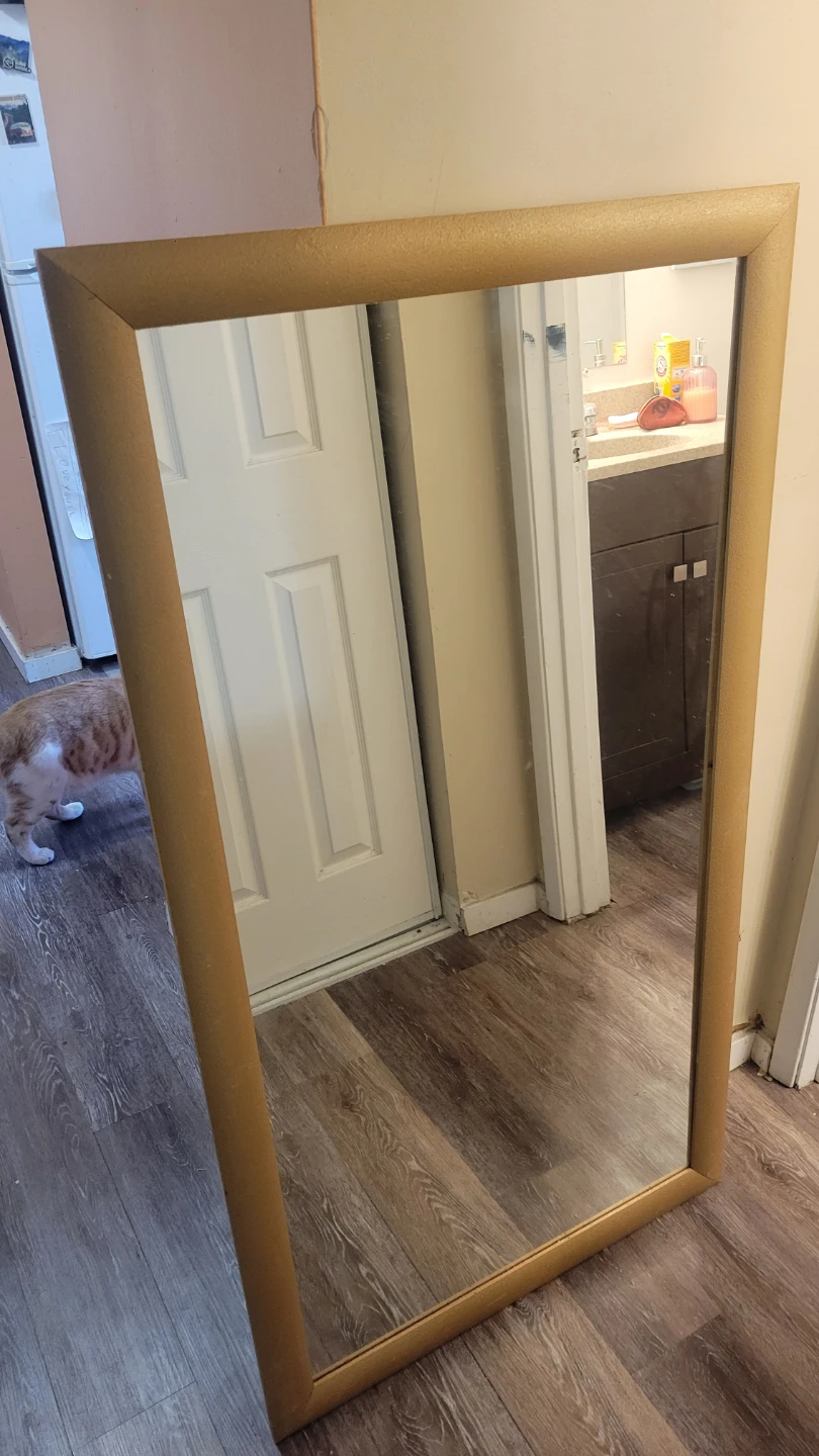 Gold Framed Mirror