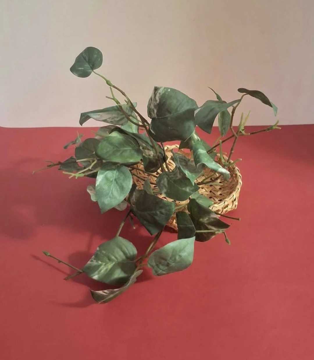 Artificial Plant in a Wicker Basket