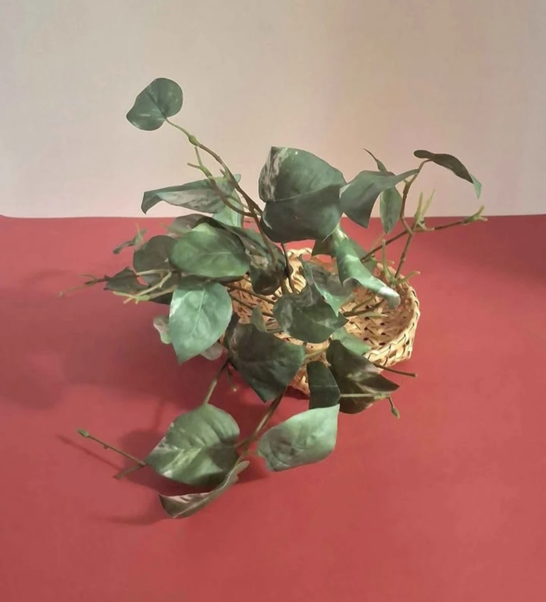 Artificial Plant in a Wicker Basket - photo 3