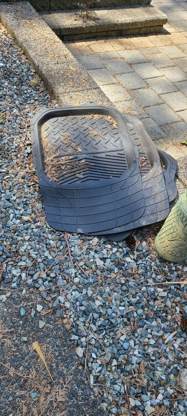 Free car mats
