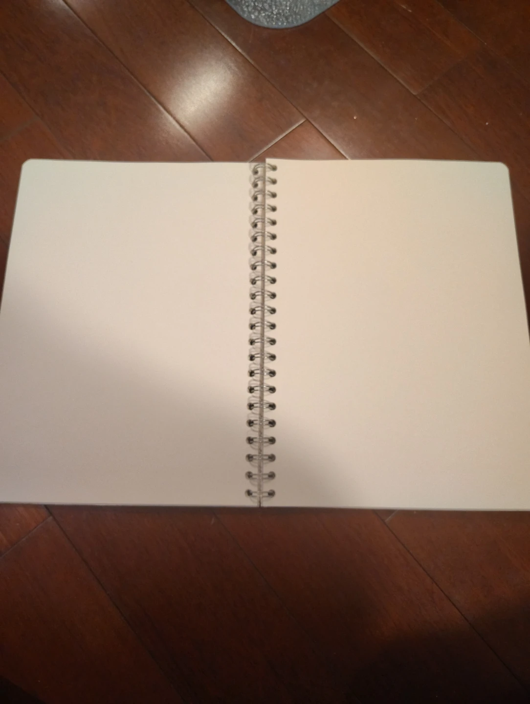 Da Vinci Notebook - Water Lilies Design - photo 2