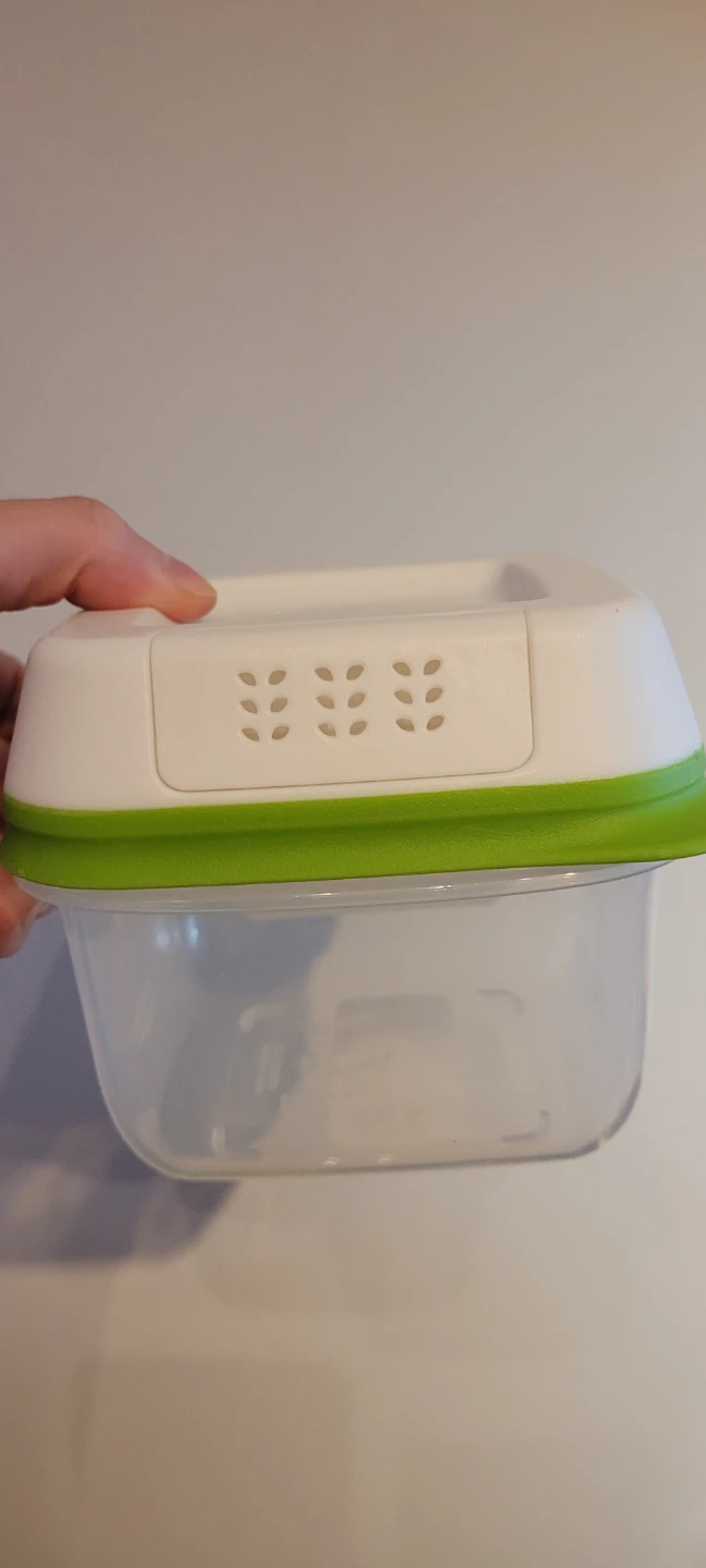 Freshness Preserving Food Container with Vents