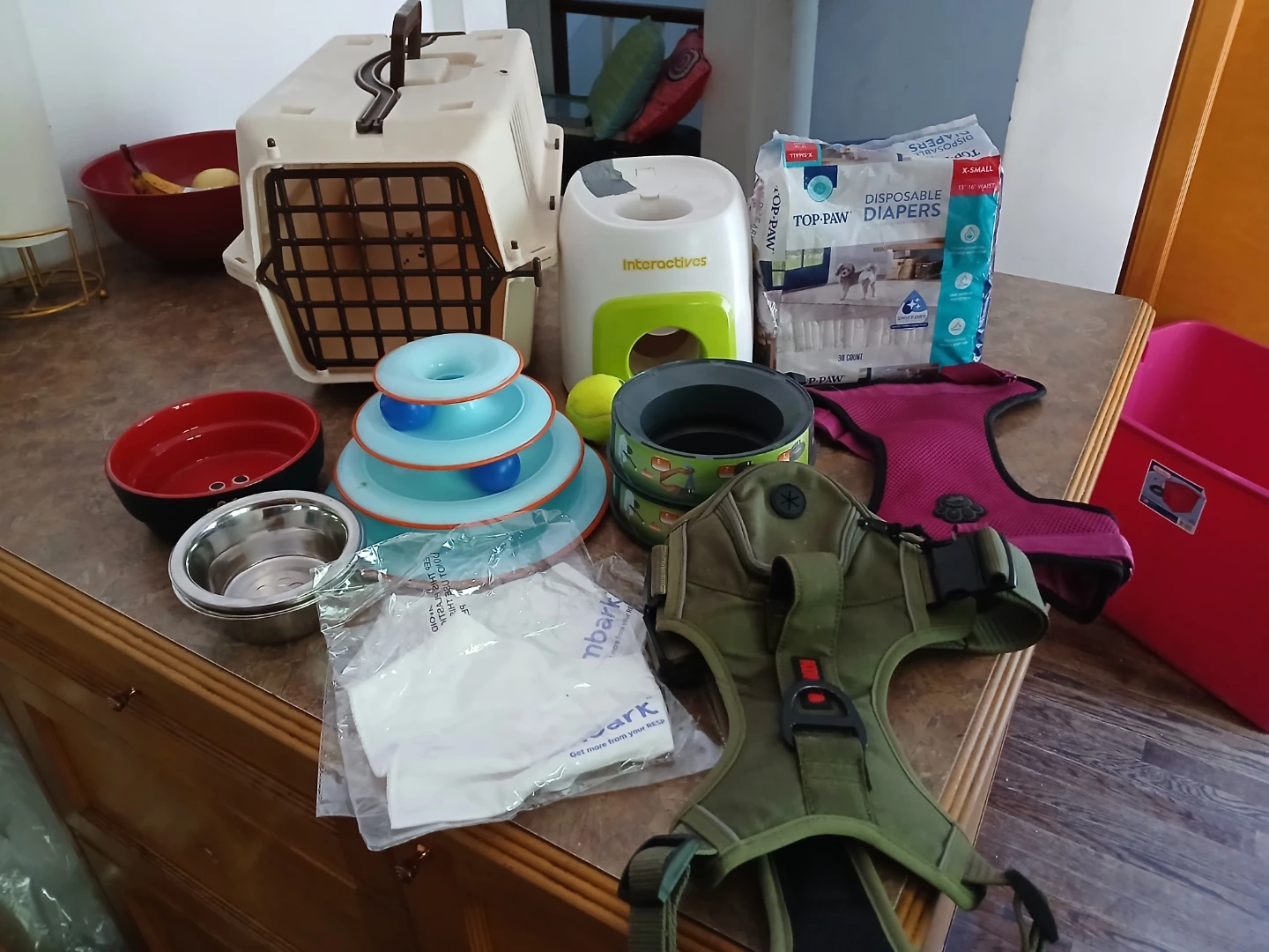 Dog Accessories Bundle: Carrier, Bowls, Harness, and Diapers