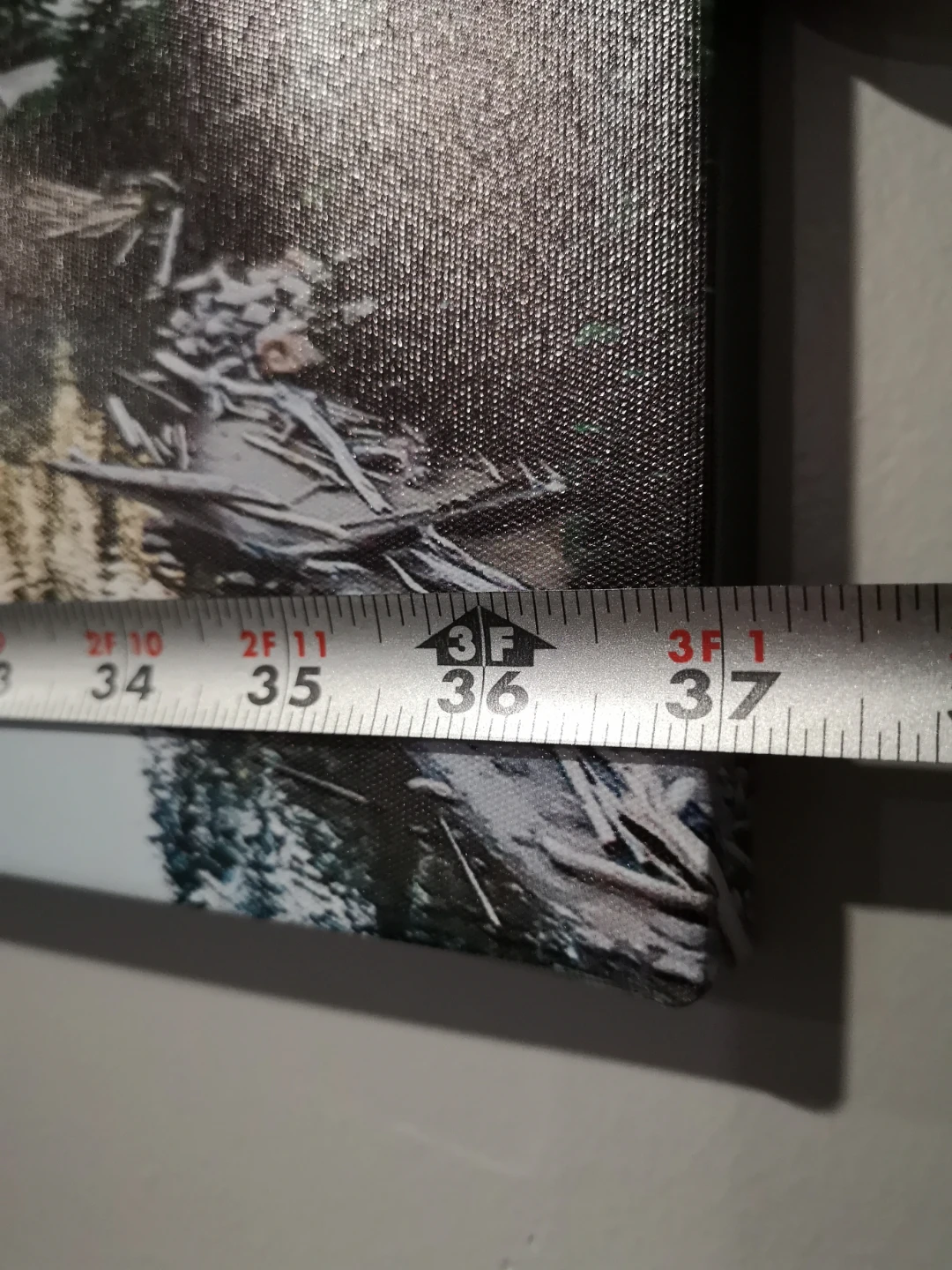 Wall canvas - photo 5