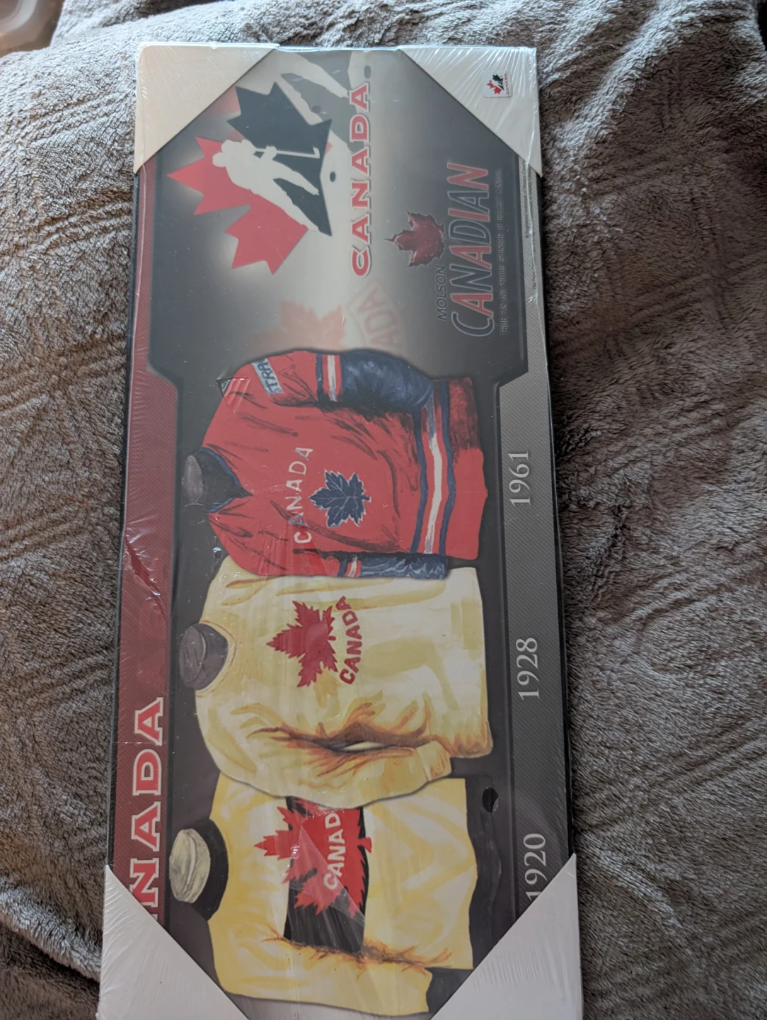 Team Canada Hockey Jersey History Wall Art