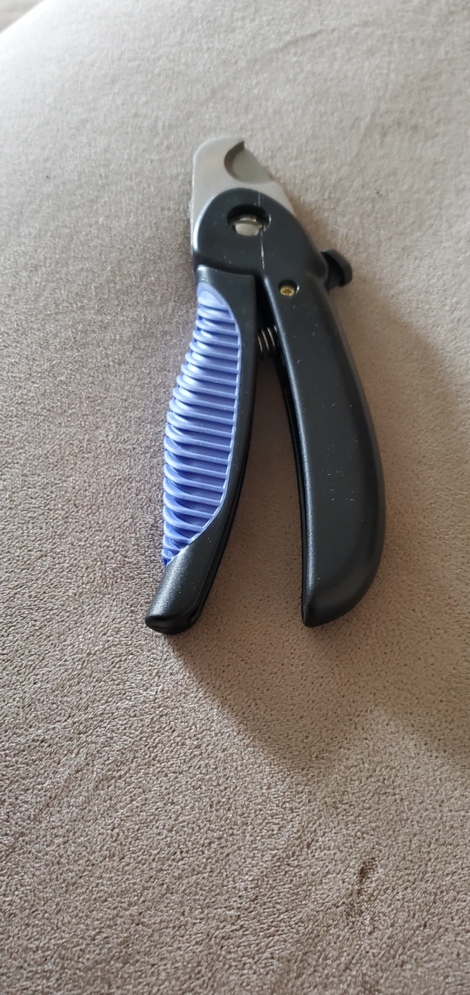 Dog Leash /Harness/ Bowl & Grooming Gloves - photo 5