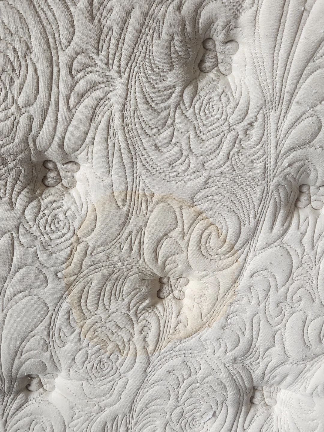 Stearns & Foster Commonwealth Firm-Ferme Queen Mattress - photo 2