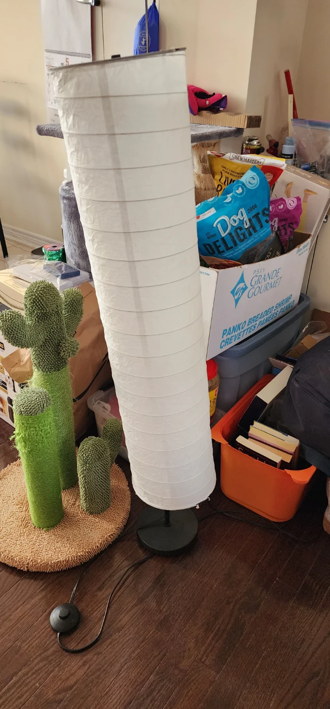 White Paper Lantern Floor Lamp